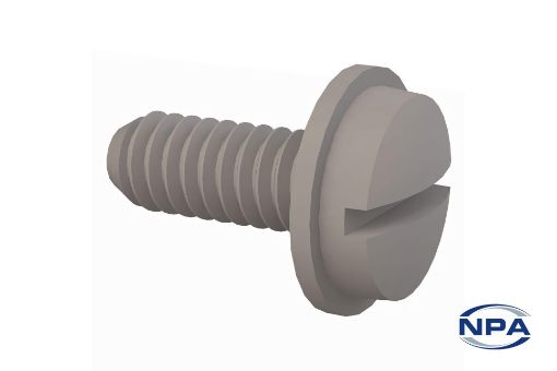 Picture of License Plate Fastener Bolt Natural